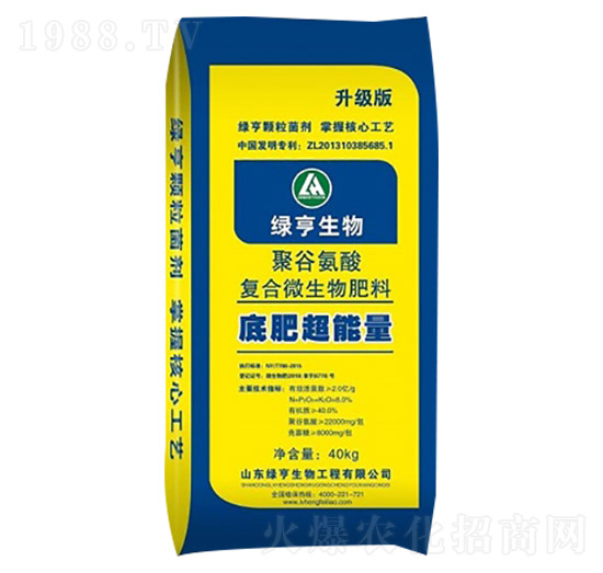 �۹Ȱ���ͺ��������-�׷ʳ�����-�G������