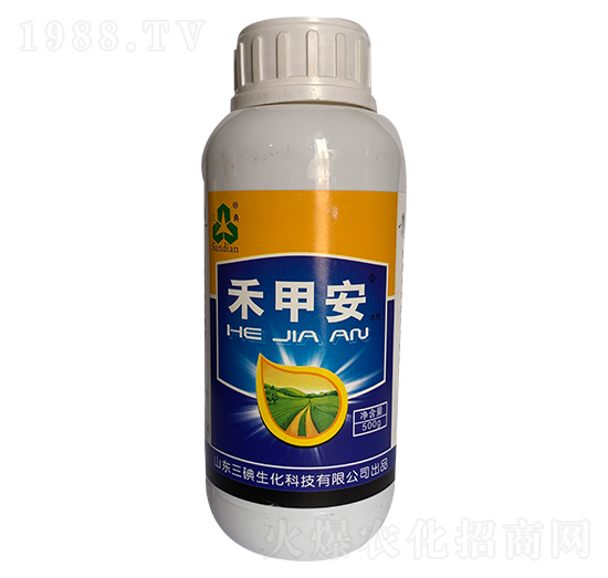 �̼װ�-��������