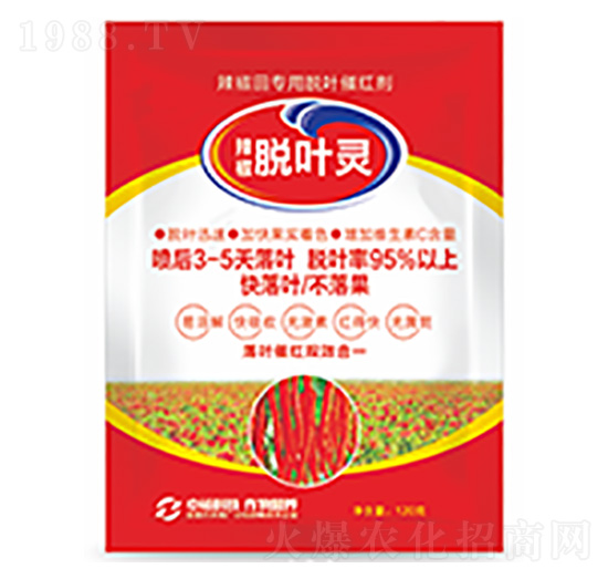 Ó�~�`-�����Ƽ�