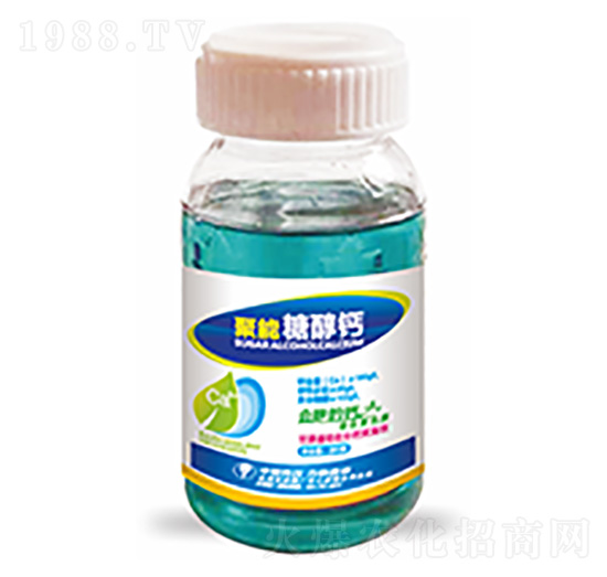 �����Ǵ��}-�����Ƽ�