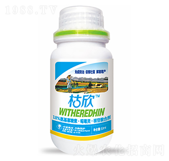 18%���������ء���ù�`��������τ�-����-��ԣ�Ƽ�