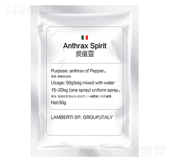 ̿���`-�����Ƽ�