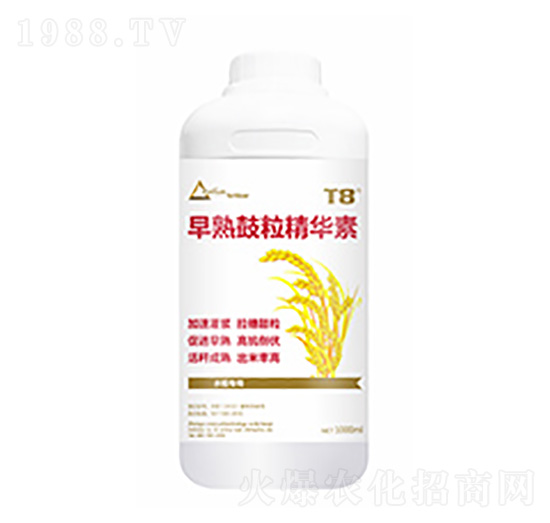 ����������A��-�����Ƽ�