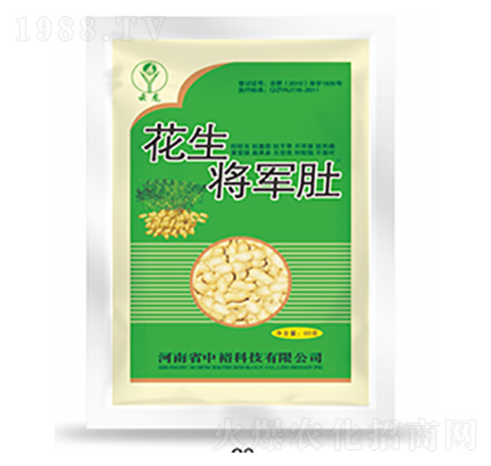 ������܊��-�����Ƽ�