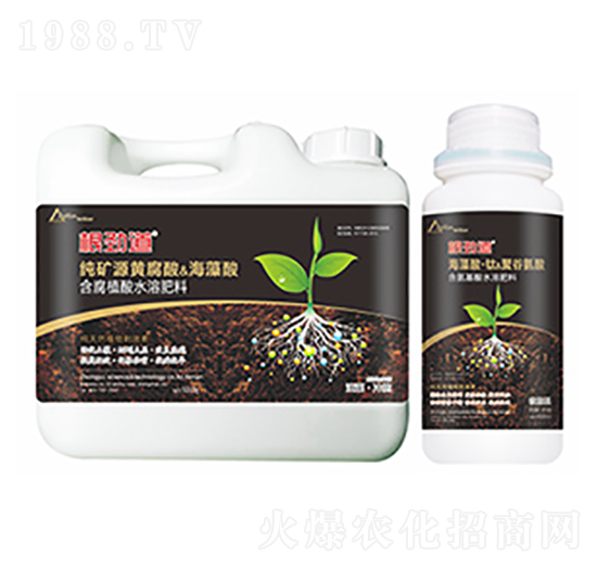 ���ŵ�-�����Ƽ�