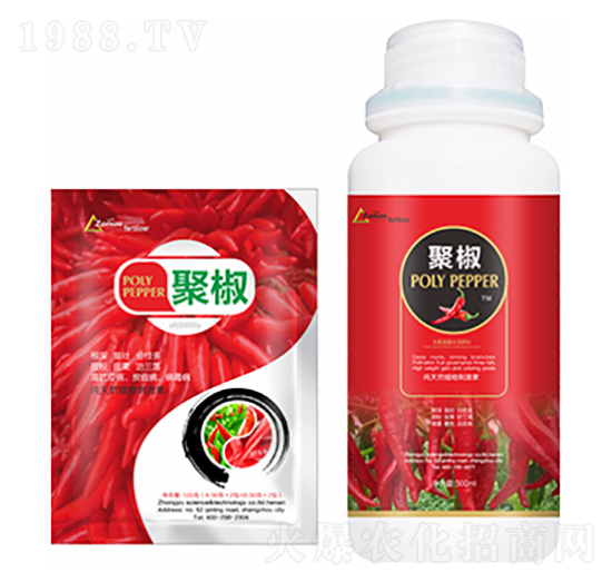 �۽�-�����Ƽ�