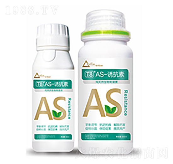 T8��AS-�T����-�����Ƽ�