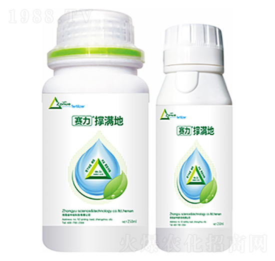 �ΝM��-�����Ƽ�