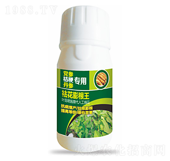 �h���۹���������-������-�����Ƽ�