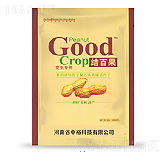 �Y(ji��)�ٹ�-�����Ƽ�