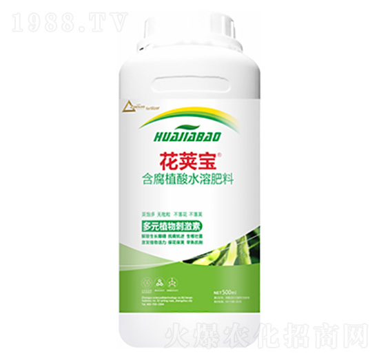 �󶹻�Ӣ��-�����Ƽ�