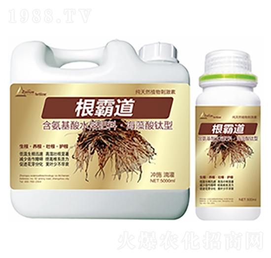 ���Ե�-�����Ƽ�