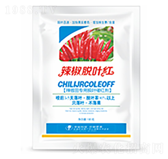 ����Ó�~�t-�����Ƽ�