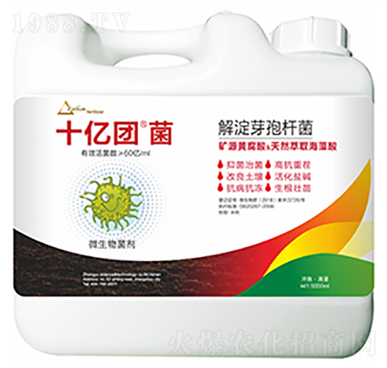 ���ѿ�ߗU��-ʮ�|�F(tu��n)��-�����Ƽ�