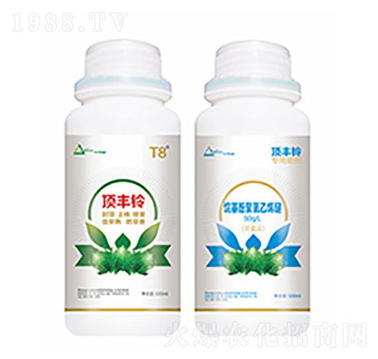 ��S�-�����Ƽ�