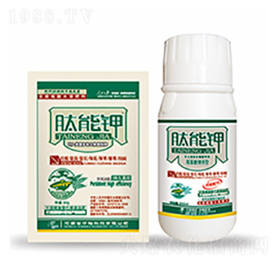 �����-�����Ƽ�