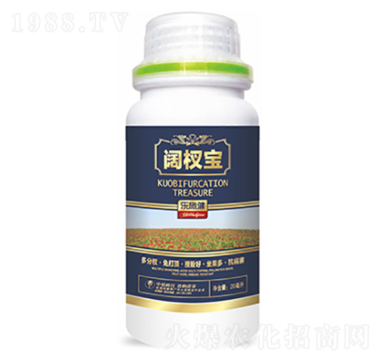 �辌�-�����Ƽ�