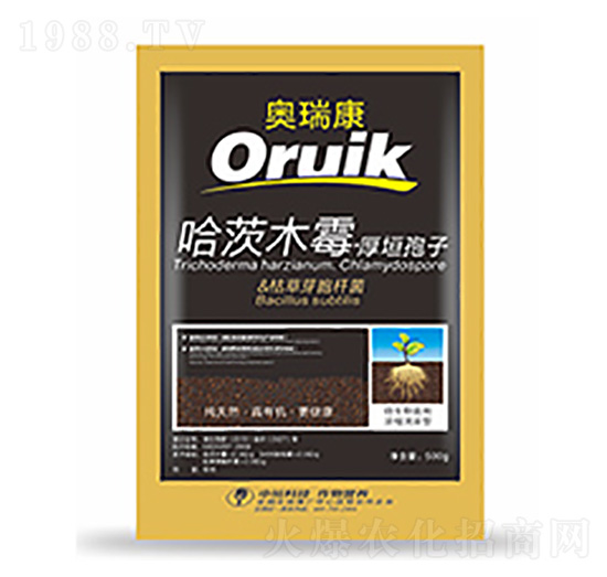 �W��-�����Ƽ�