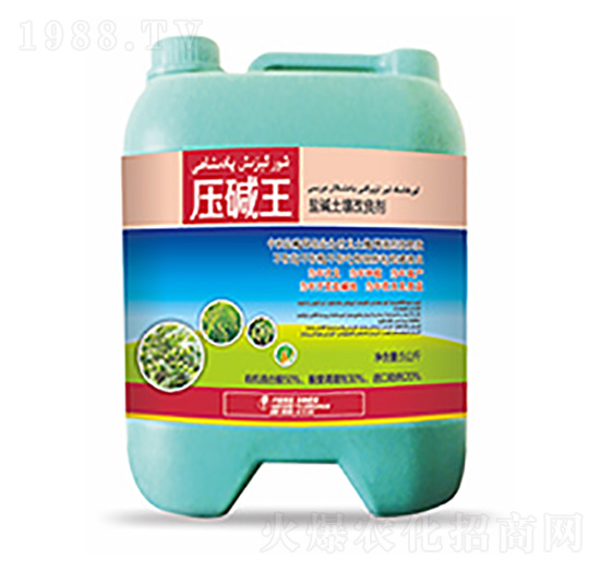 �}�A����������-���A��-�����Ƽ�