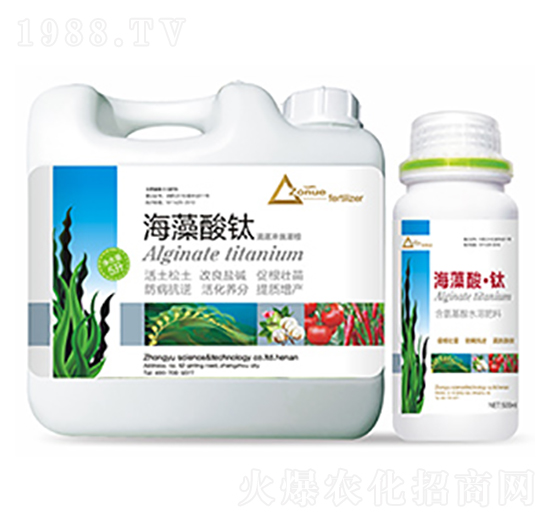 �������-�����Ƽ�