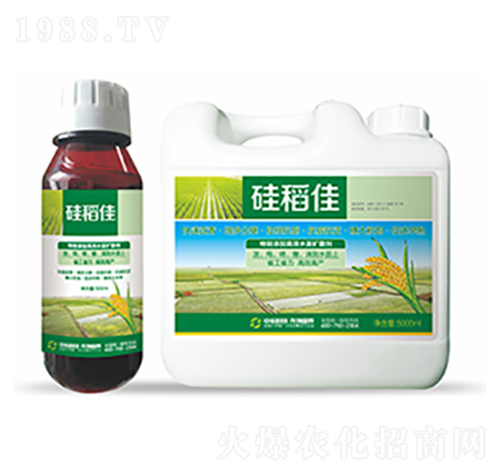 �赾��-�����Ƽ�