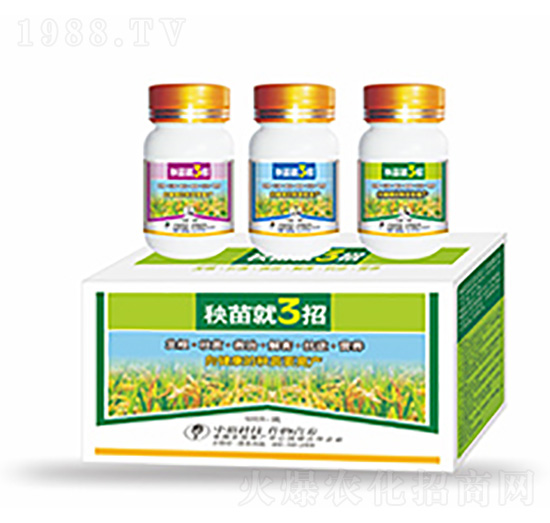 �����3��-�����Ƽ�