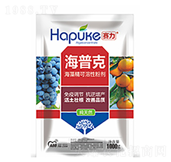 ِ�����տ�-�����Ƽ�