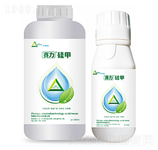 ِ�����-�����Ƽ�