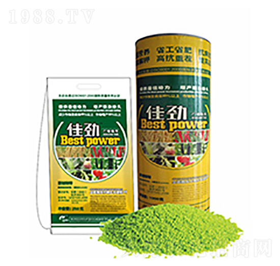 �ф�-�����Ƽ�