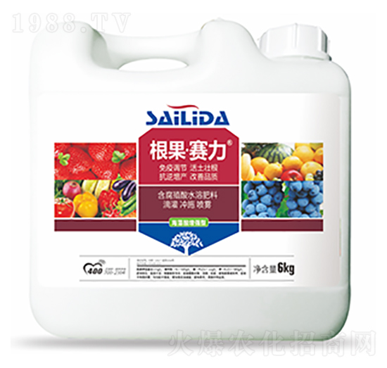 ����ِ��-�����Ƽ�