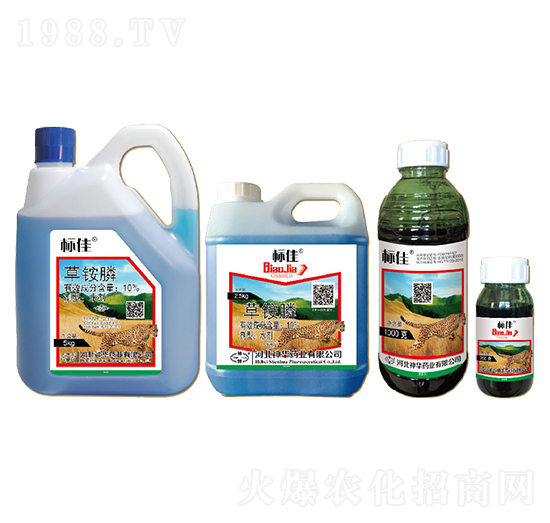 10%���@�ˮ��-��(bi��o)��-���A