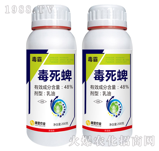 48%������-����-���