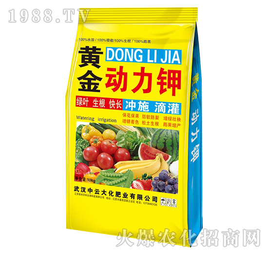 �S�������-���ƴ�