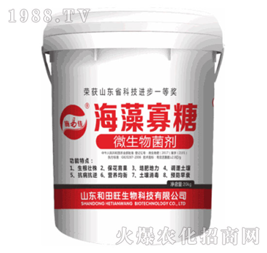 �������-����������