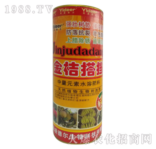 ��۴�n-� �����