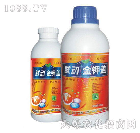 ����w-(li��n)��(d��ng)-� �����