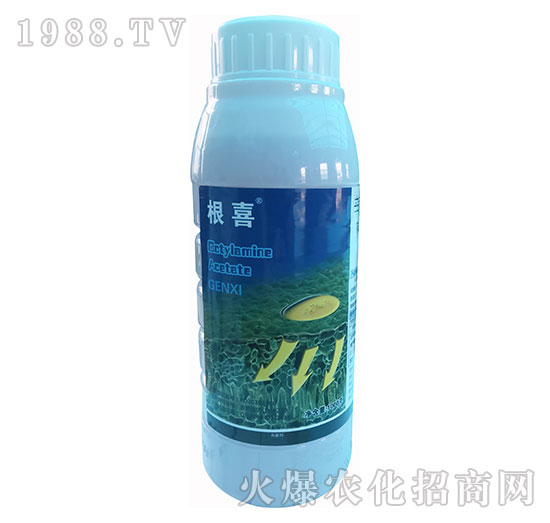 1.8%�����������}-��ϲ-�\ʢ����