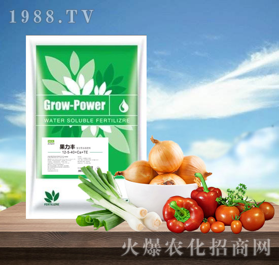 �����S12-5-40+Ca+TE