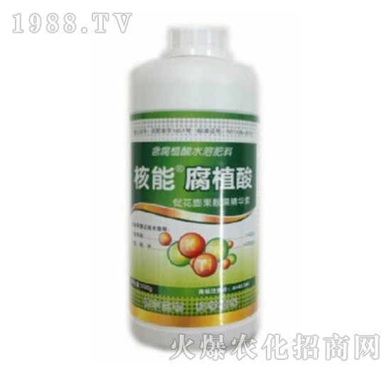 ��ֲ��-����-��?t��ng)����? style=