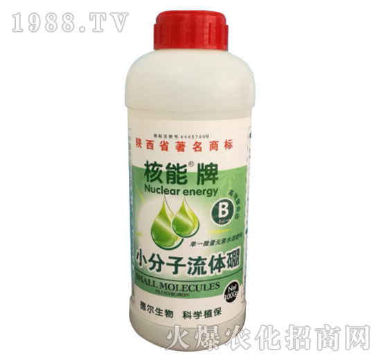 ������С�������w��-� �����