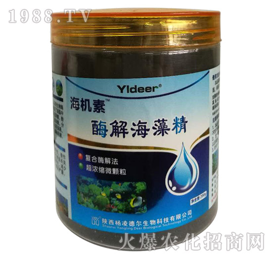 ø�⺣�徫-���C��-� �����