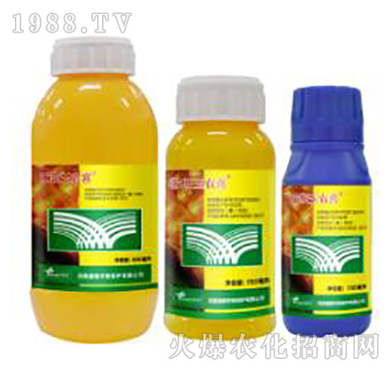 24%���ס�ݬȥ��-�˹���r(n��ng)ϲ-�˹����