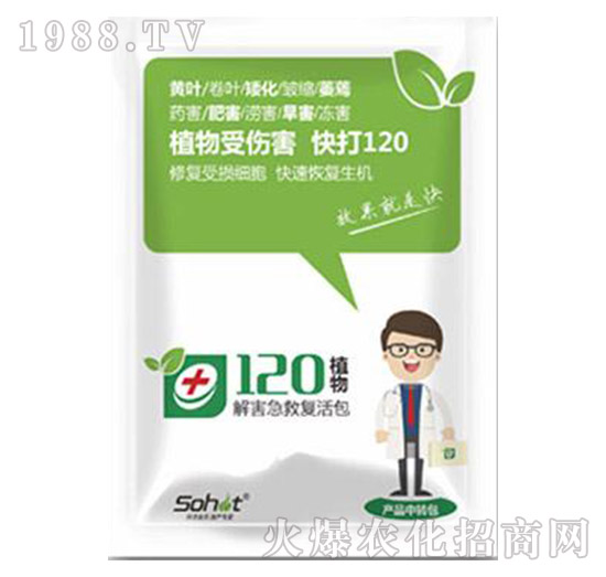 �⺦���ȏͻ��-ֲ��120-���A����