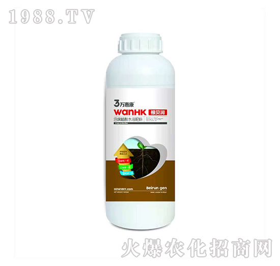 ��ؐ��-�f�ݿ�