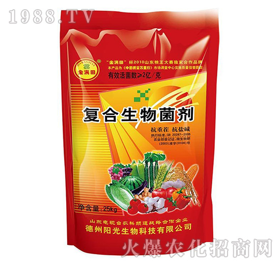 �ͺ��������-��M��-ꖹ�����