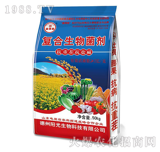 ��(f��)���������-��M��{��-ꖹ�����