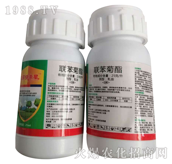 25��ÿ��(li��n)������-�W�ρ�