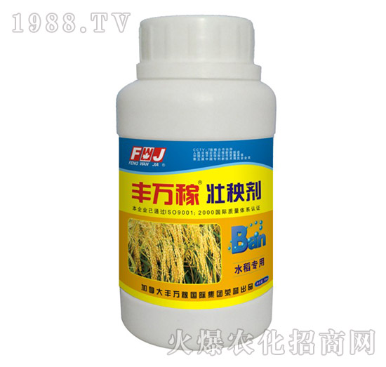 ˮ�����É��턩-�S�f(w��n)��