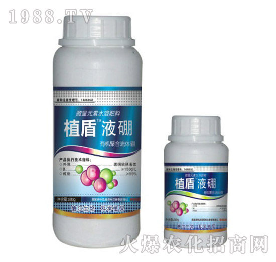 Һ��-ֲ��-��?t��ng)����? style=