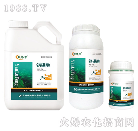 �}�𴼡����_����